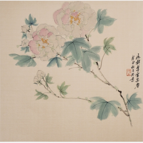  赵夜白《芙蓉花》