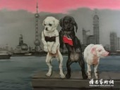 宠物在上海
