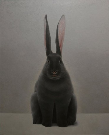 黑兔