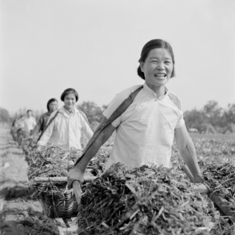 郭村大队女支书万子荣