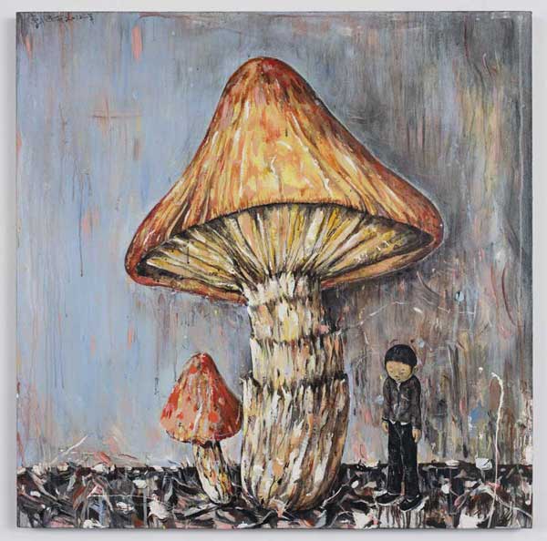 蘑菇与男孩
