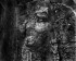 龙门石窟-残损的佛像(2)