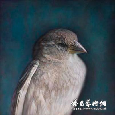 “光之四重奏：主题及变奏”摄影作品联展