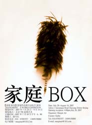 “家庭BOX”系列张锰图片展