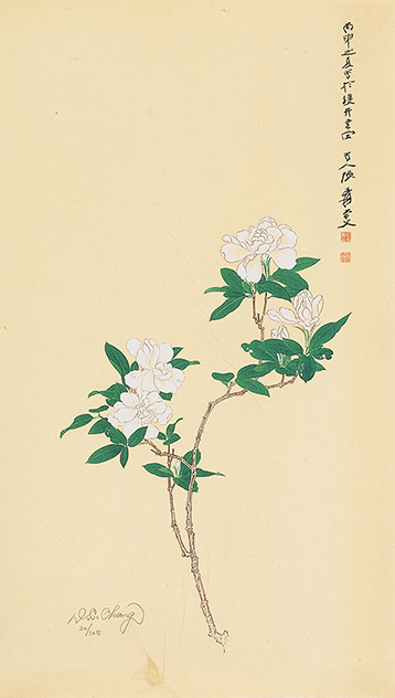 栀子花开20/125