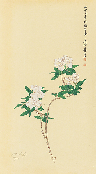 栀子花开16/125