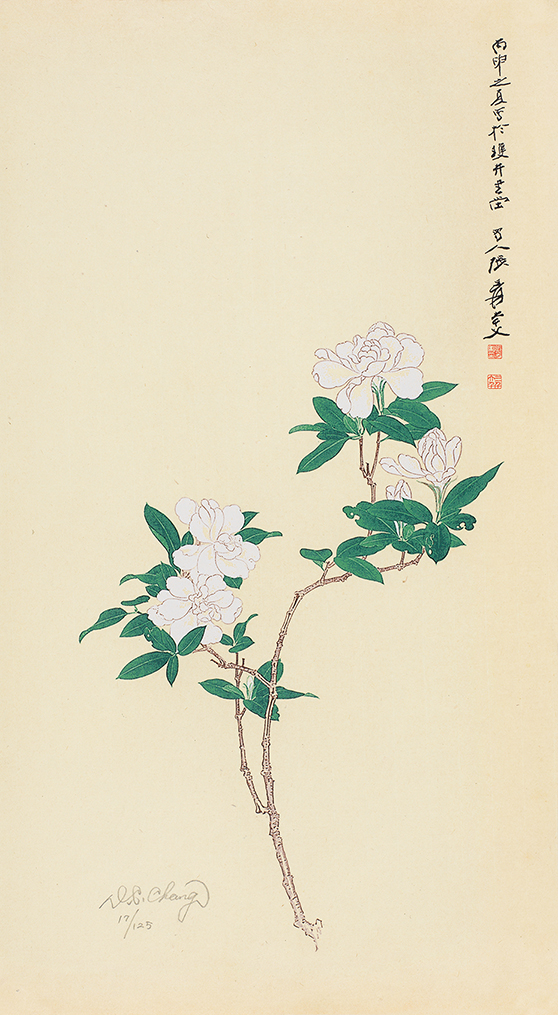栀子花开17/125