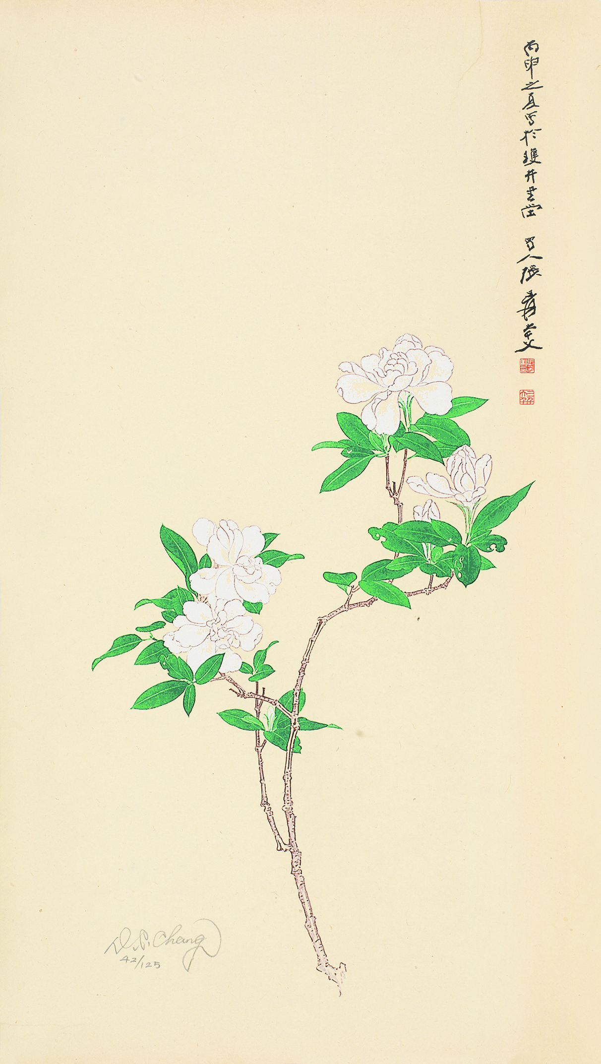栀子花开42/125