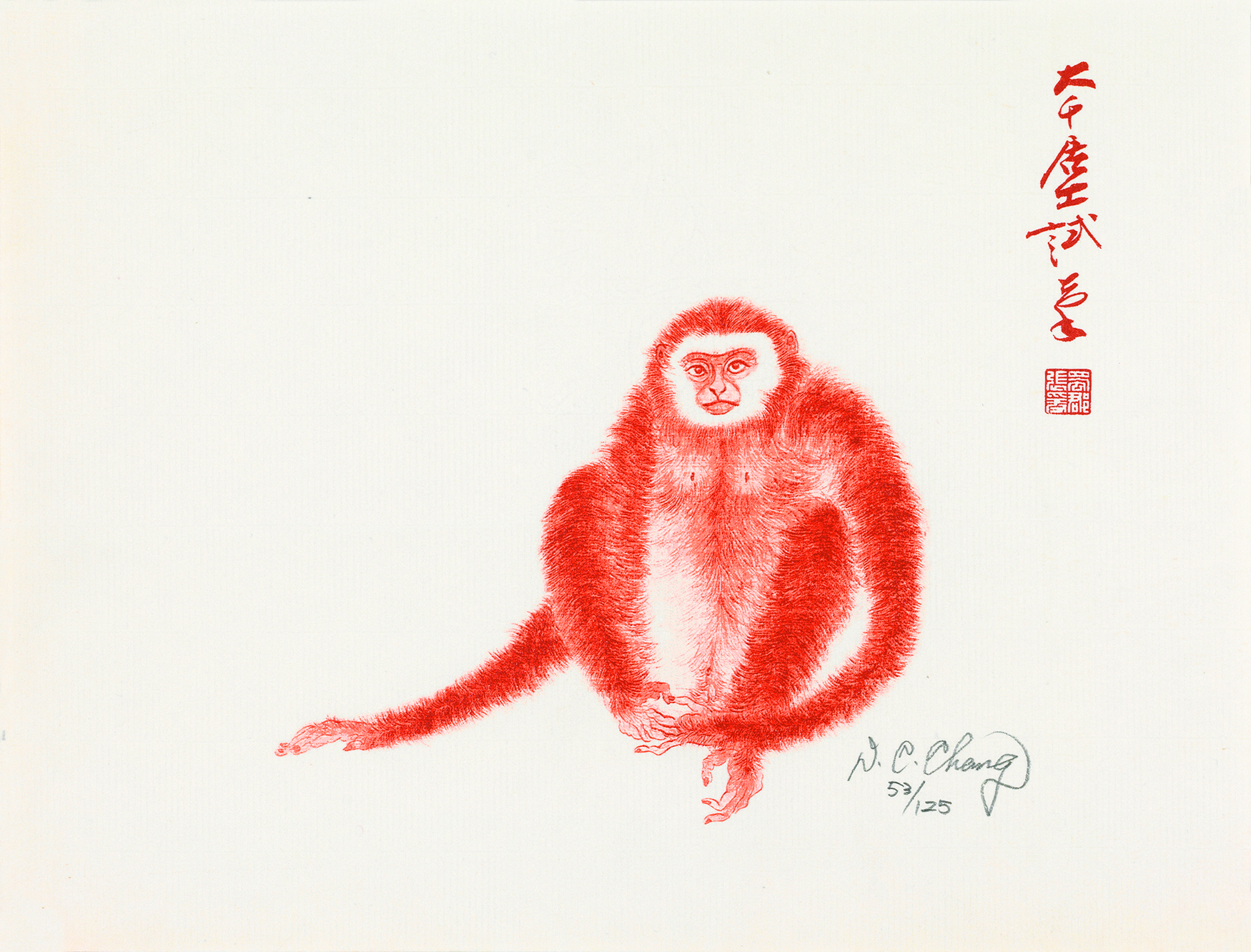 猿53/125