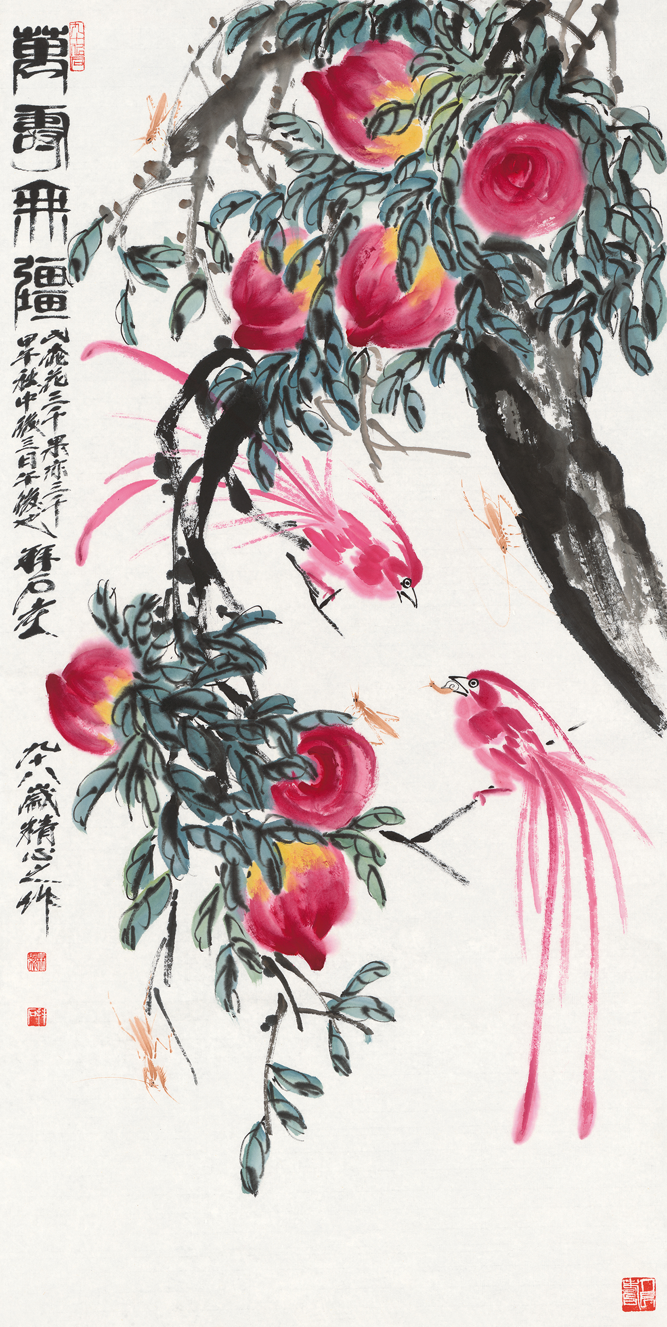 万寿无疆