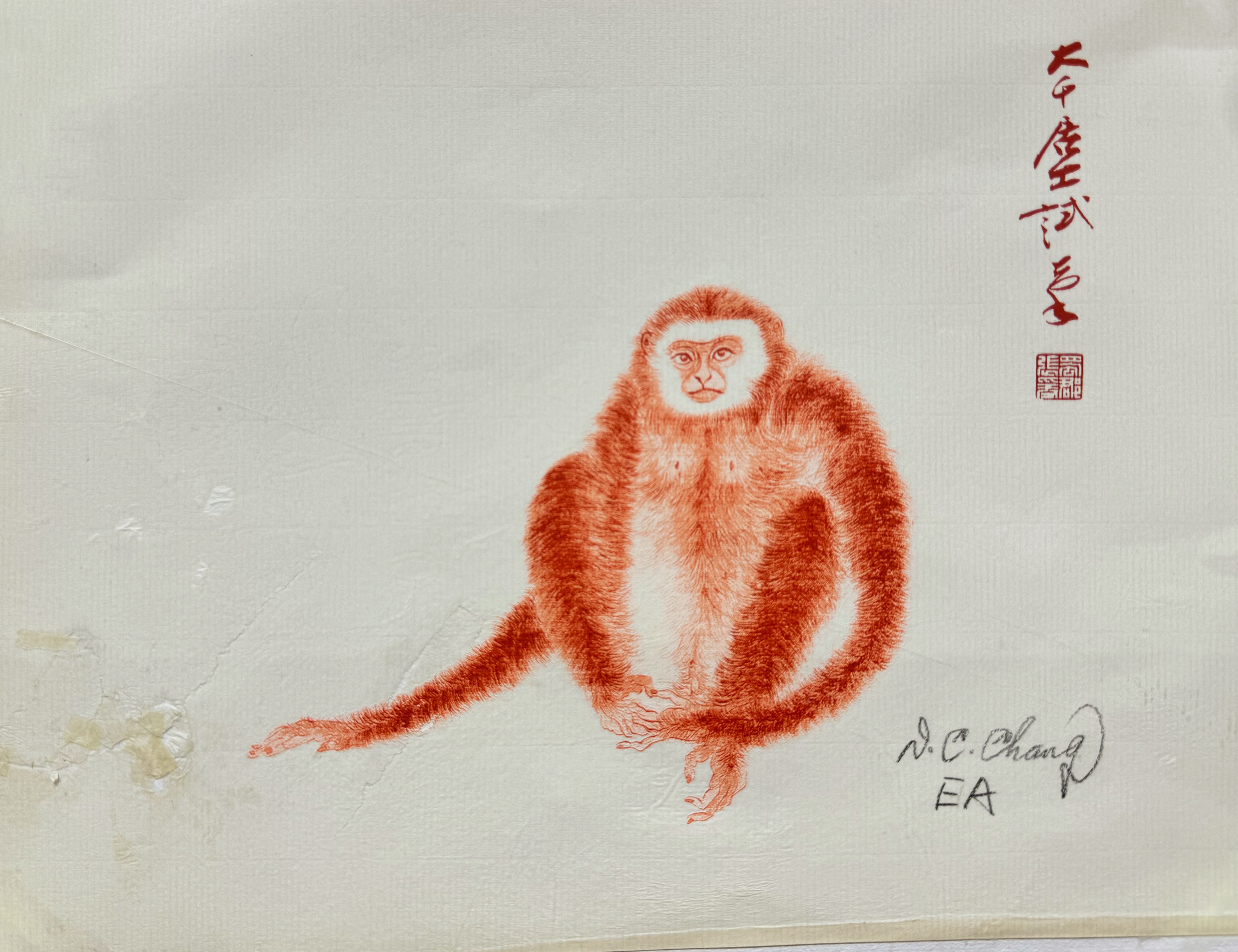 朱砂猿EA