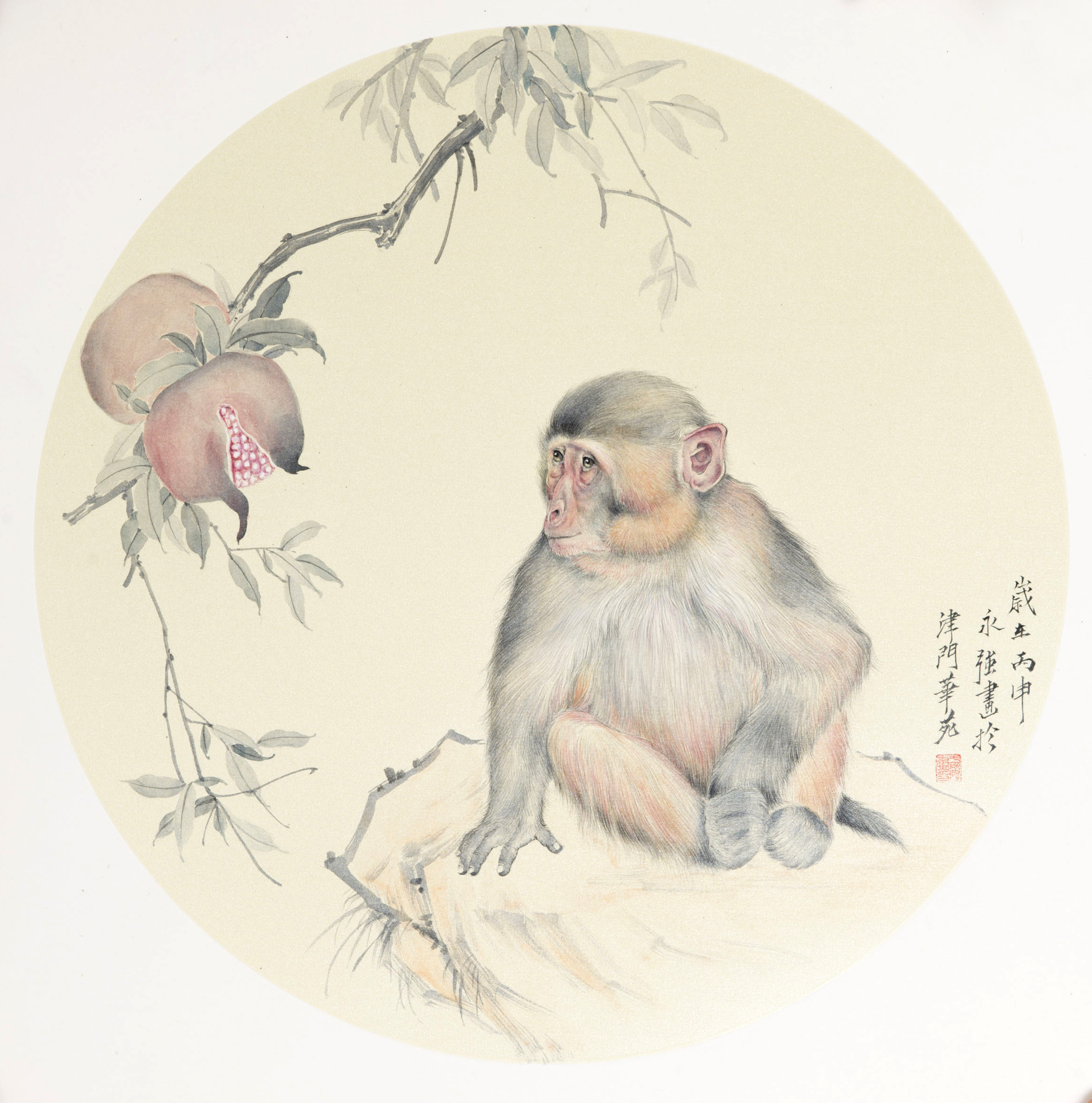 小猴