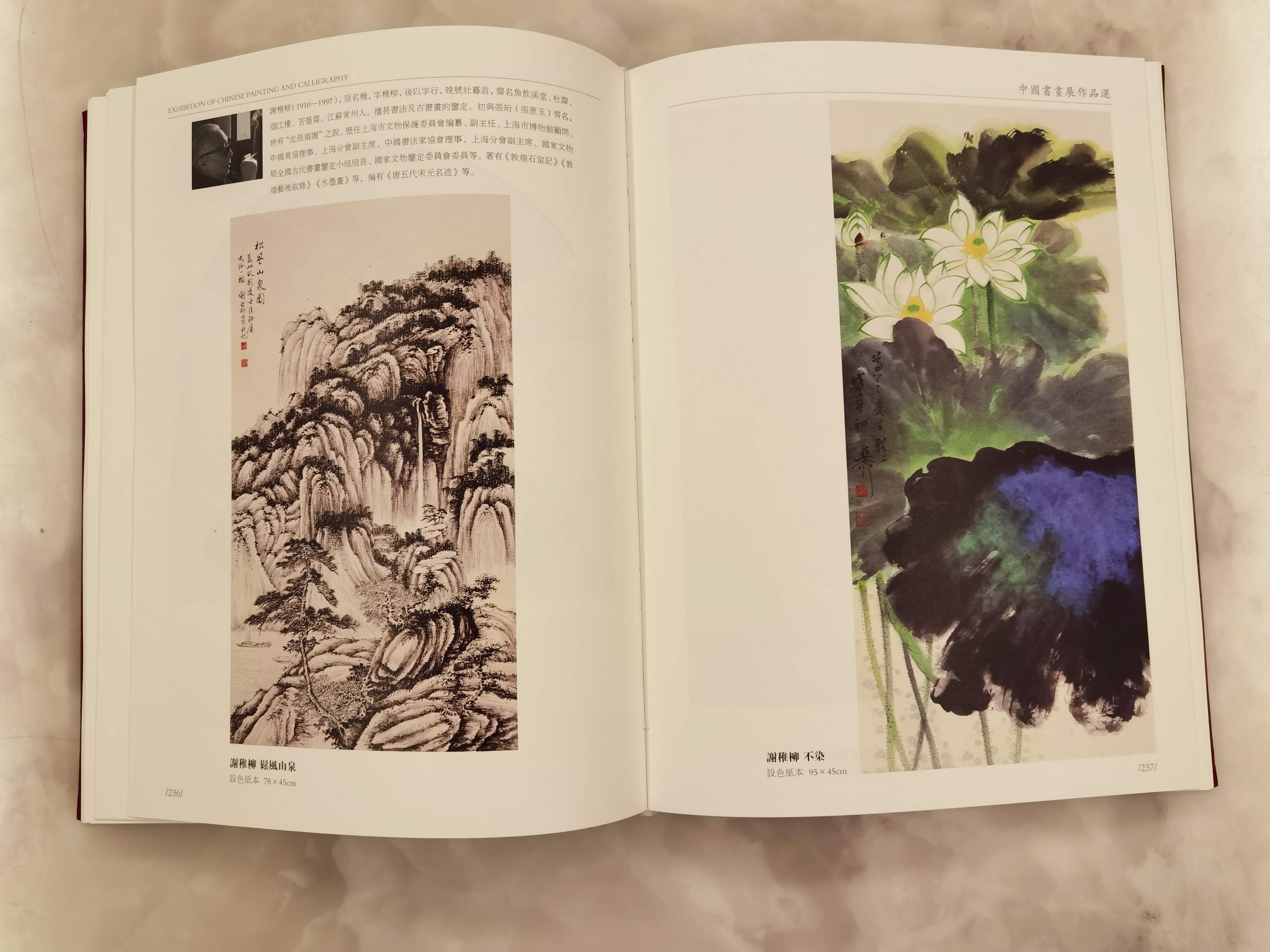 谢稚柳|松风山泉附出版物|北京传观